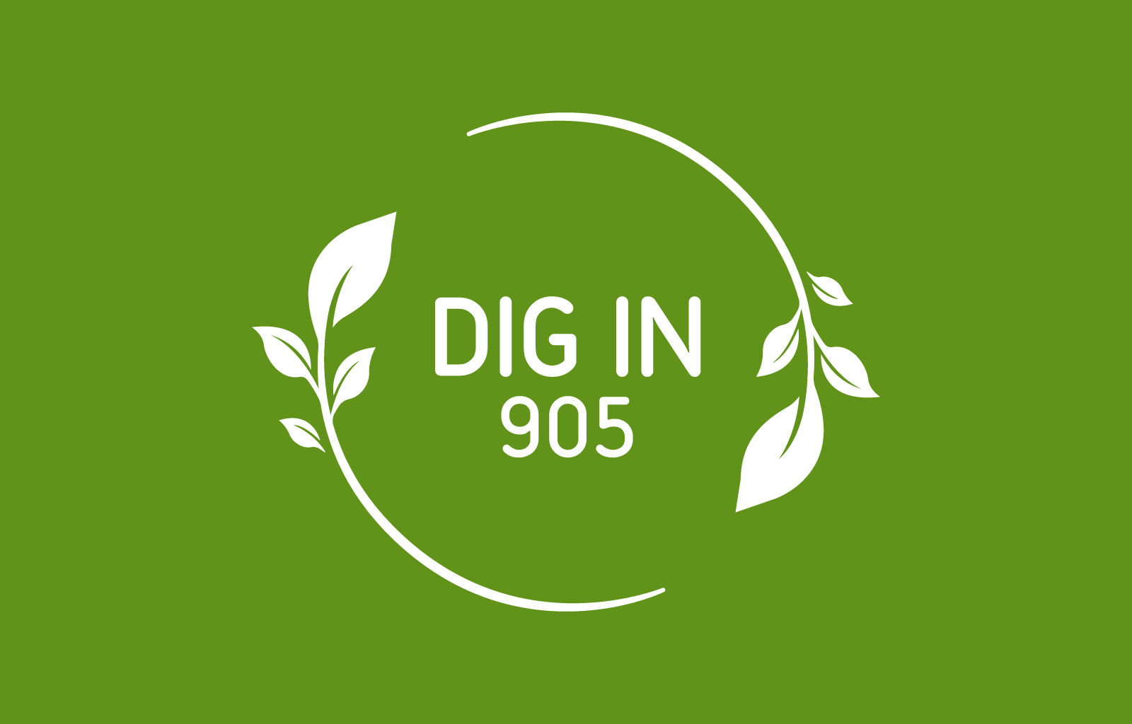 DignIn 905 Logo